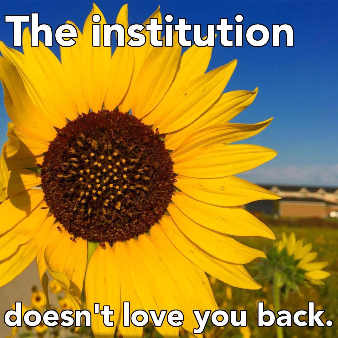 The image shows a yellow sunflower in front of a deep blue sky. The words "The institution doesn't love you back" are superimposed over the picture.